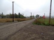 DSC05506