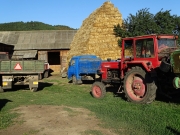 DSC05435