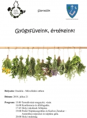 Ozsdola plakat.cdr ok