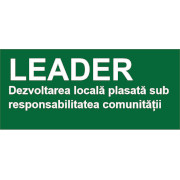 Leader